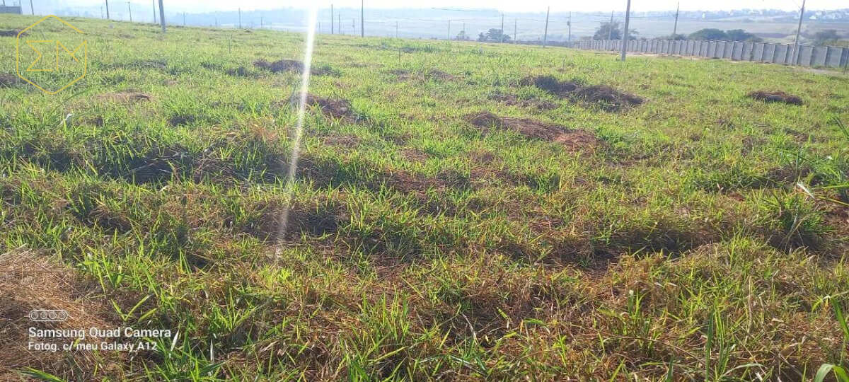 Terreno em Condomínio à venda - São Bento,Paulínia